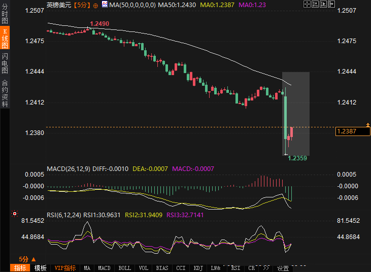 美国交通部长肖恩·达菲开始审查加州高铁。